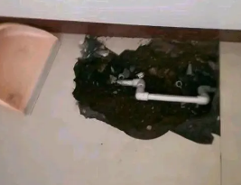 全椒卫生间测漏水多少钱